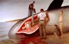 Bo_Bartlett_Jonas_et_la_baleine.jpg