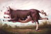Bruno Pontiroli la patte folle vache pointes.jpg, avr. 2023