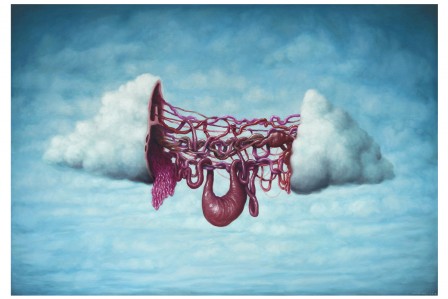 Bruno Pontiroli le ventre du nuage.jpg