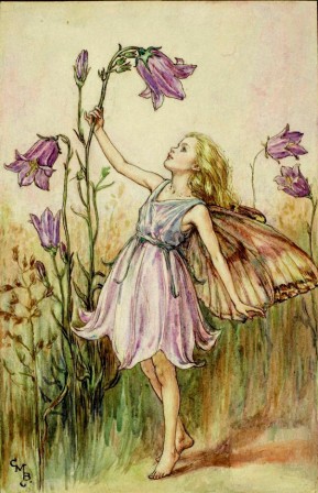 Carte Fées des Fleurs Cicely Mary Barker Campanule violette années 1920