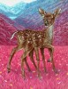Casey_Weldon_bambi_et_l_herbe_rouge.jpg