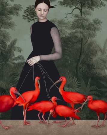 Daria_Petrilli_la_femme_aux_ibis.jpg