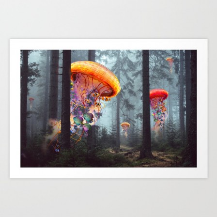 Dave Loblaw couleurs d'automne méduses des bois.jpg