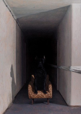 Dragan_Bibin_chien_assis.jpg