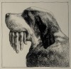 Franco_Matticchio_bon_chien_main_bienvenue.jpg