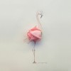 Jesuso Ortiz le flamand rose.jpg, sept. 2019