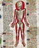 John_Ardern_De_arte_phisicali_et_de_cirurgia_England_ca_1425_mort_squelette_sourire.jpg