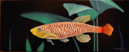 Jose_Luis_Hernandiz_poisson.jpg