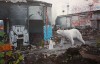 Kevin_Peterson_ours_blanc_fete_des_peres.jpg