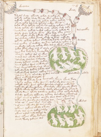 Le manuscrit de Voynich.jpg, mai 2021