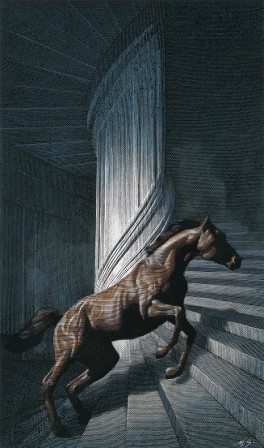 Mark_Summers_cheval_escalier.jpg