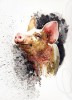 Martine_Fassier_cochon.jpg