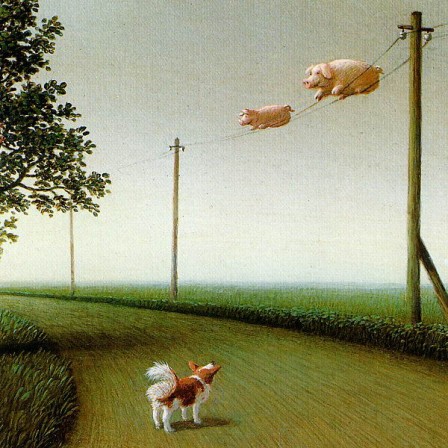 Michael_Sowa_cochon_vole.jpg