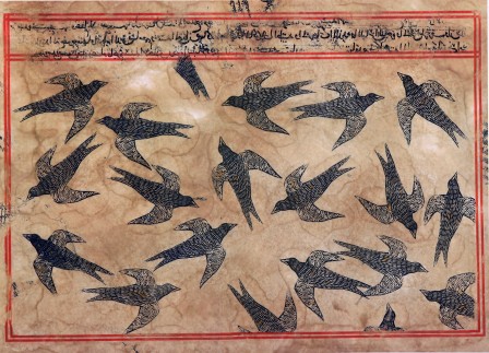 Mohammad Barrangi les oiseaux.jpg