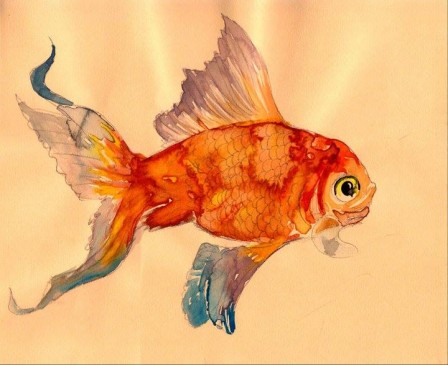 Ozgur_Meral_poisson.jpg