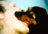 ROBERT_GLIGOROV_baiser_chien.jpg