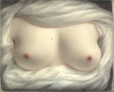 Sarah Goodridge Beauty Revealed The Metropolitan Museum of Art 1828.png