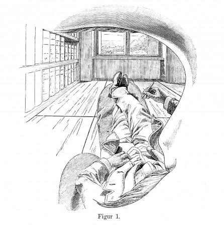 Self-Portrait View from the Left Eye by Ernst Mach 1886 l'autoportrait dessine-toi toi-même.jpg, fév. 2021