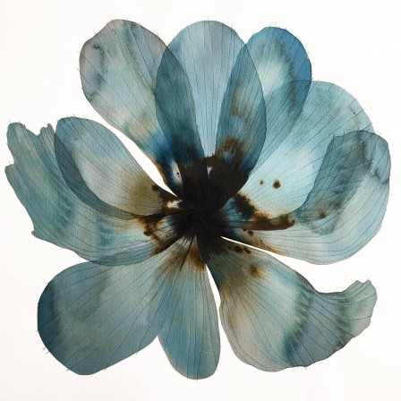 Stephen Doherty Blue Flower je suis fleur bleue.jpg, nov. 2022