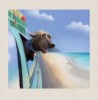 Stephen_Hanson_chien_vacances_voiture.jpg