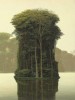Tomás Sánchez l'île.jpg