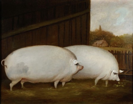 Unknown A Pair of Pigs 1850 Oil on canvas Compton Verney tu as passé une bonne saint-valentin cochon porc.jpg, févr. 2023