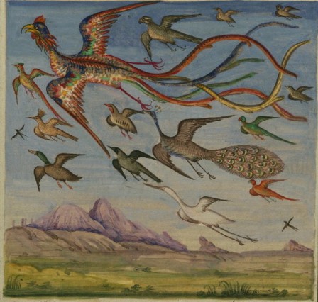 Unknown illustration from The Anvāri Suhaylī or Lights of Canopus Iran 19th century envol d'oiseaux.jpg, mai 2021