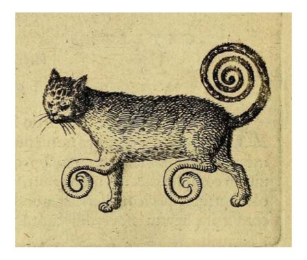 Uzumaki in the Animal Kingdom chat spiralé.jpg, janv. 2024
