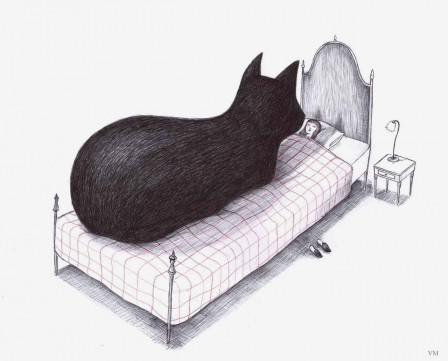 Virginia Mori chat bonne nuit.jpg