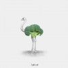 brocotruche_brocolyves_brocoli_autruche_bon_appetit.jpg