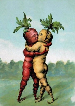 carottes amour saint-valentin aimez-vous les petits légumes.jpg, févr. 2023