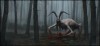 la_creature_bonjour.jpg