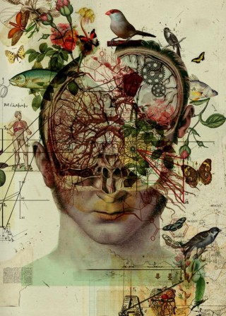 radiographie du crâne.jpg