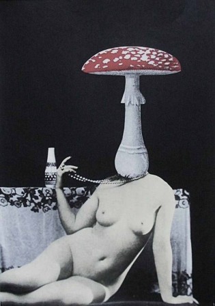 Female Nude with Fly Agaric, Bohumil Stepán, 1968 champignon amanite que les mouches meurent