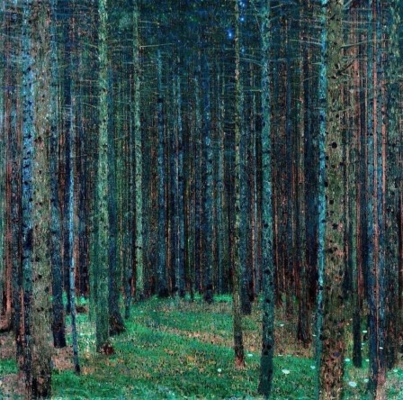 Gustav Klimt, Tannenwald, Spruce Forest vers 1901 mes beaux sapins
