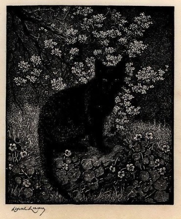 Lionel Lindsay chat noir