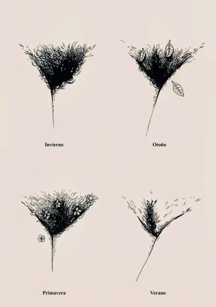 Rebeca Fleur Four Seasons les quatre saisons du pubis