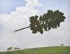 Ruben Grigorian, Ripped Off + The Tree That Lives in the Sky, 2025 vent il est libre l'arbre y'en a même qui disent qu'ils l'ont vu voler