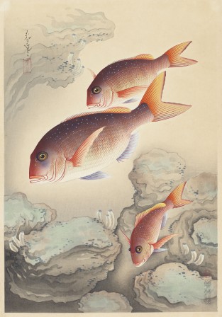 Sea Bream Japanese artist Bakufu Ohno (1888-1976