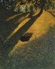 The Last Sunbathing of the Day Miho Ichise , 2021 chat les derniers rayons du soleil