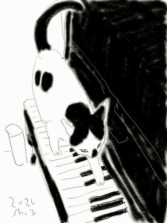 sho3, 2026 le chat musicien piano
