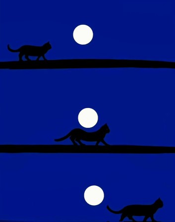 un chat passe sous la lune