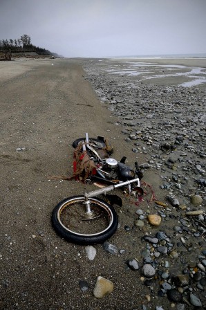 A_Harley-Davidson_motorbike_lies_on_a_beach_in_Graham_Island.jpg