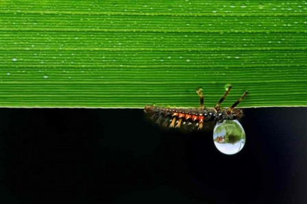 Adam_Dobrovits_goutte_a_goutte.jpg