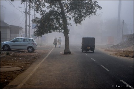 Alberto_Raffaeli_l_arbre_sur_la_route_Dehli.jpg