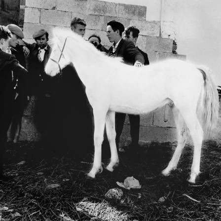 Alen_MacWeeney_cheval_blanc_magique_anniversaire.jpg