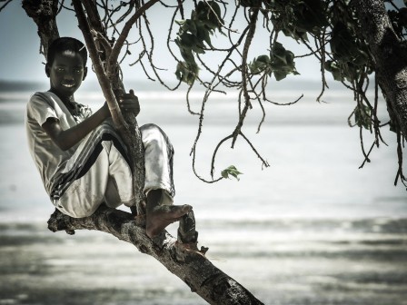 Alessandro_Longato_le_garcon_dans_l_arbre.jpg