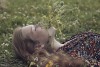 Alexandra_Bochkareva_fleurs_bouche.jpg