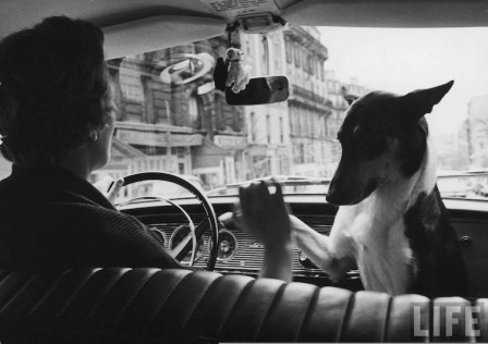 Alfred_Eisenstaedt_femme_et_chien_poke.jpg