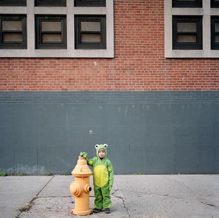 Amy_Stein_grenouille_harlem_bonjour.jpg